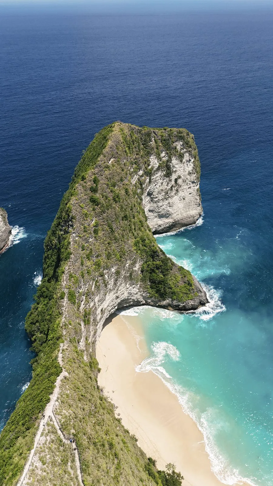 T-Rex de Nusa Penida