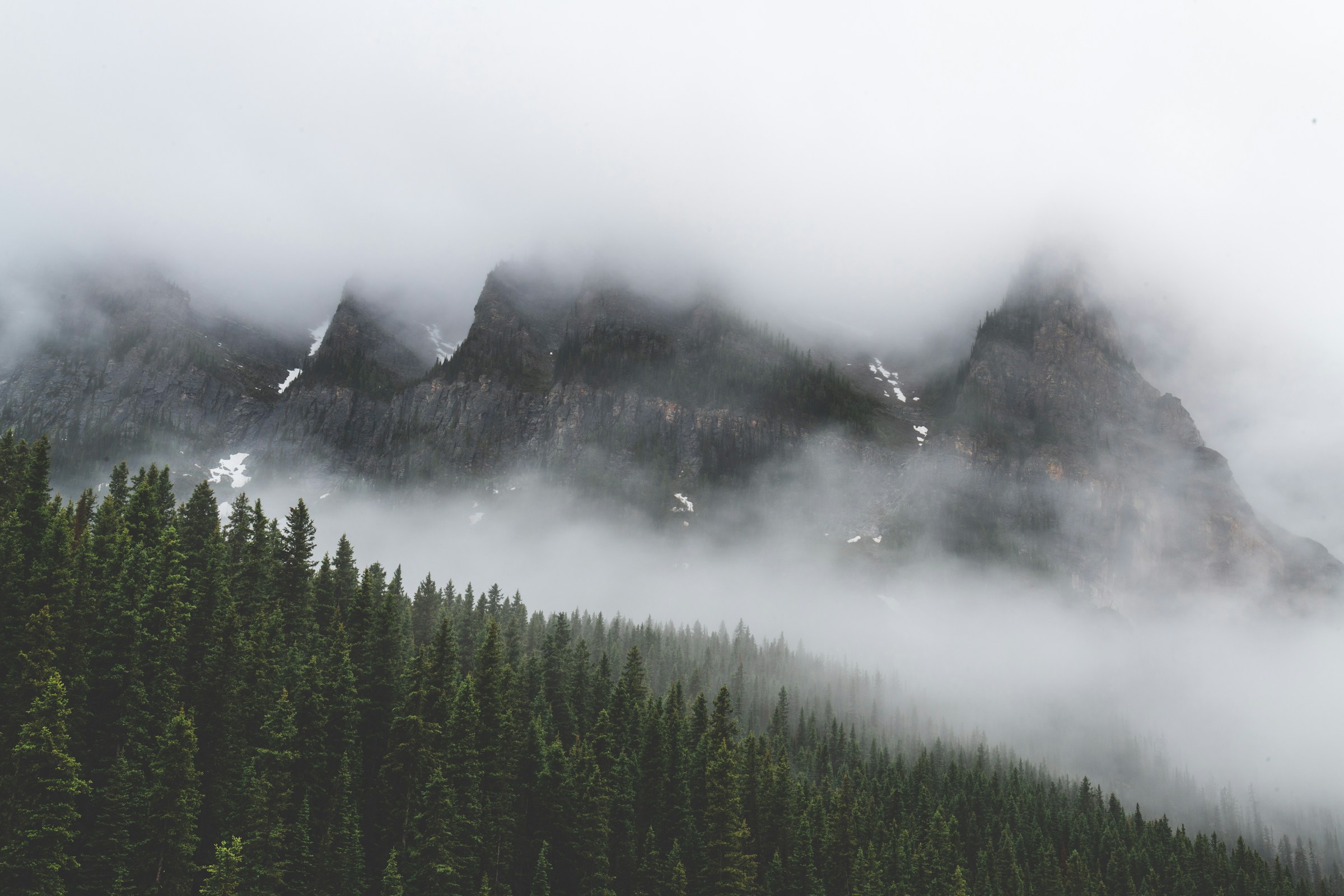 Andes en niebla al amanecer — Route of Condor